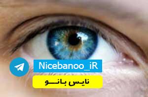 دانلود رمان شوکران هوس از مسیحه زادخو دانلود رمان شوکران هوس از مسیحه زادخو