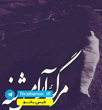 دانلود رمان گفته بودی دوستم داری