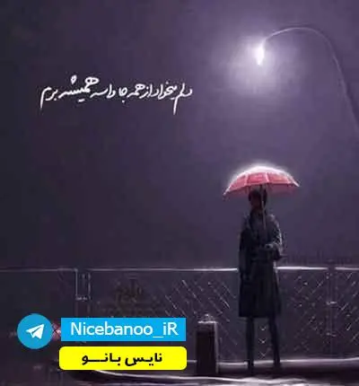 دانلود رمان اغوای دوشیزه دانوی 