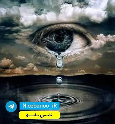 دانلود رمان زامبی های عروسکی از شیلا سیلاوی