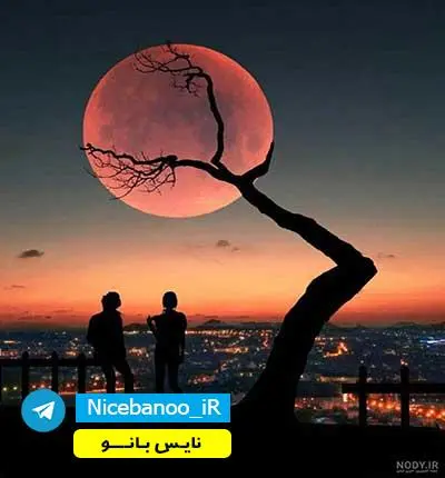 دانلود رمان جان پناه از ندا اسکندری