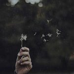 دانلود-رمان-های-عاشقانه