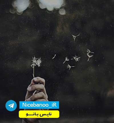 دانلود رمان خواستنی از جنس گناه دانلود رمان خواستنی از جنس گناه