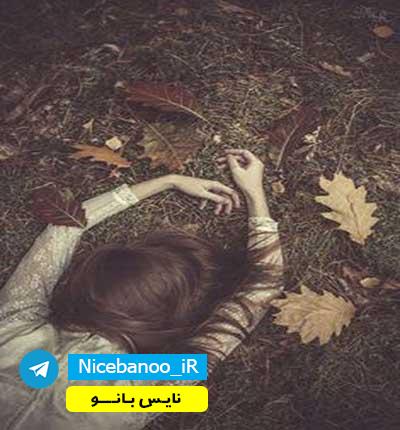 دانلود رمان خون بس ارباب از نازنین سادات موسوی دانلود رمان خون بس ارباب از نازنین سادات موسوی
