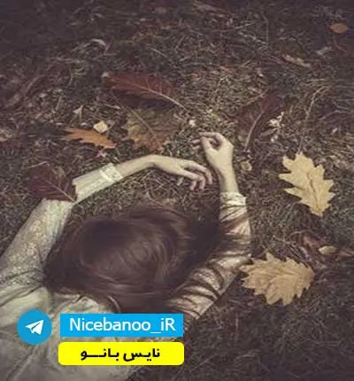 دانلود رمان هواتو از دلم نگیر