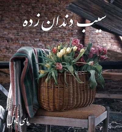 دانلود رمان سیب دندان زده دانلود رمان سیب دندان زده