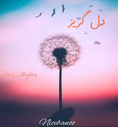 دانلود رمان دل گریز از الف صاد دانلود رمان دل گریز از الف صاد