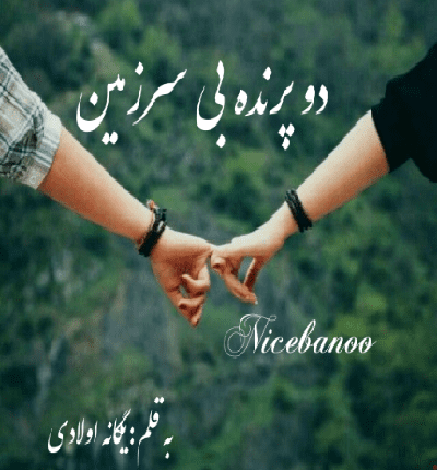 دانلود رمان دو پرنده بی سرزمين از یگانه اولادی دانلود رمان دو پرنده بی سرزمين از یگانه اولادی