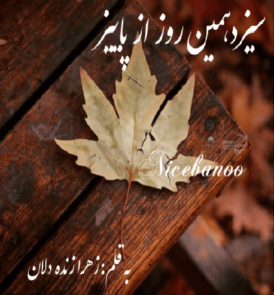 دانلود رمان سیزدهمین روز از پاییز از زهرا زنده دلان دانلود رمان سیزدهمین روز از پاییز از زهرا زنده دلان