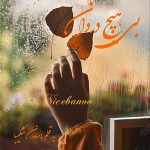 بی-هیچ-دردان