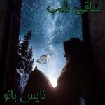 ساقی شب