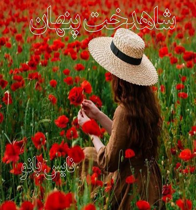 دانلود رمان شاهدخت پنهان از پرنیا دانلود رمان شاهدخت پنهان از پرنیا