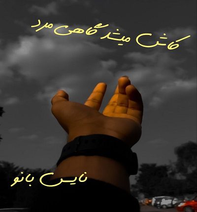 دانلود رمان کاش میشد گاهی مرد از پریسا دولتی دانلود رمان کاش میشد گاهی مرد از پریسا دولتی