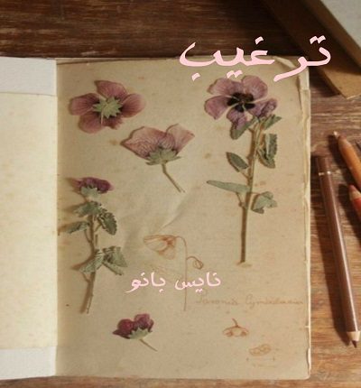 دانلود رمان ترغیب از جین آستین دانلود رمان ترغیب از جین آستین
