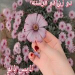 دو زن دو فرشته