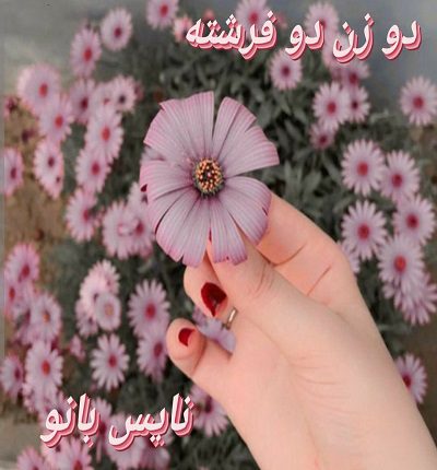دانلود رمان دو زن دو فرشته از فاطمه درخشانی دانلود رمان دو زن دو فرشته از فاطمه درخشانی