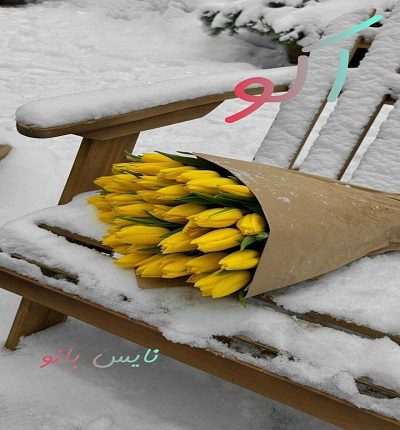 دانلود رمان اکو از مدیا خجسته دانلود رمان اکو از مدیا خجسته