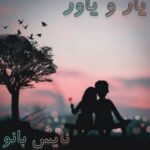 یار و یاور