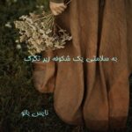 به سلامتی یک شکوفه زیر تگرگ