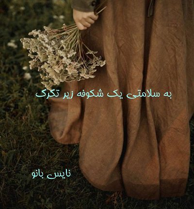 دانلود رمان به سلامتی یک شکوفه زیر تگرگ از مهدیه افشار با لینک مستقیم دانلود رمان به سلامتی یک شکوفه زیر تگرگ از مهدیه افشار با لینک مستقیم