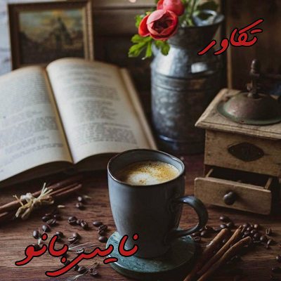 دانلود رمان تکاور از کلثوم حسینی با لینک مستقیم دانلود رمان تکاور از کلثوم حسینی با لینک مستقیم