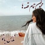 مجنون تمام قصه ها