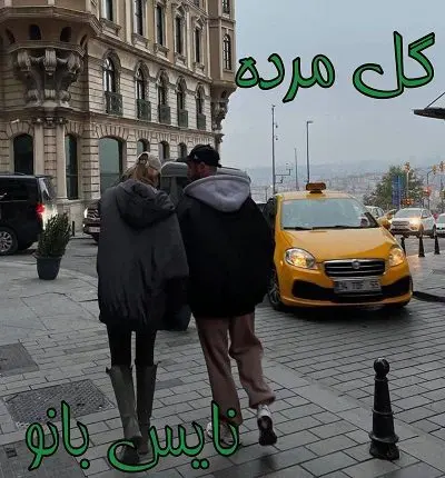 دانلود رمان گل مرده از فاطمه وطن پرست با لینک مستقیم دانلود رمان گل مرده از فاطمه وطن پرست با لینک مستقیم