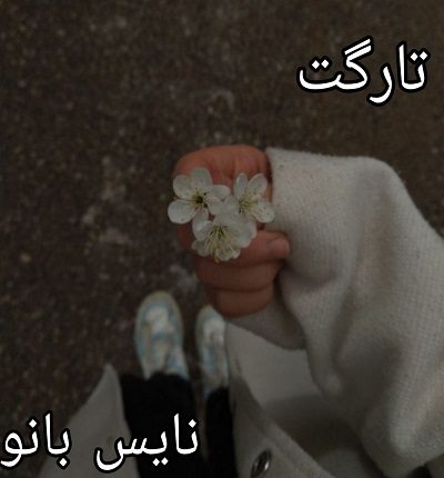 دانلود رمان تارگت از گیسو خزان با لینک مستقیم دانلود رمان تارگت از گیسو خزان با لینک مستقیم