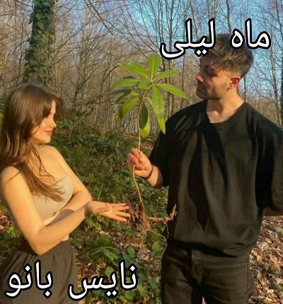 دانلود رمان ماه لیلی از الهه آقا علیپور با لینک مستقیم دانلود رمان ماه لیلی از الهه آقا علیپور با لینک مستقیم