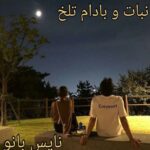 نبات و بادام تلخ