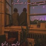 کسی در سرم میگرید