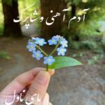 آدم آهنی و شاپرک