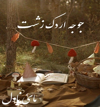 دانلود رمان جوجه اردک زشت از نسیم ابراهیمی با لینک مستقیم دانلود رمان جوجه اردک زشت از نسیم ابراهیمی با لینک مستقیم