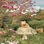 زیبای گمشده