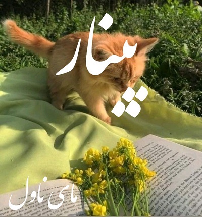 دانلود رمان پینار از ریحانه کیامری با لینک مستقیم دانلود رمان پینار از ریحانه کیامری با لینک مستقیم