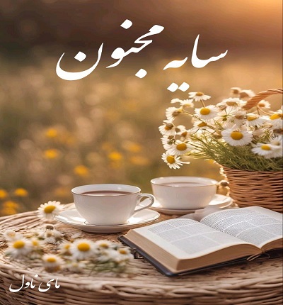 دانلود رمان سایه مجنون از هانیه محمدیاری با لینک مستقیم دانلود رمان سایه مجنون از هانیه محمدیاری با لینک مستقیم