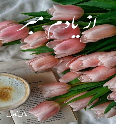 دانلود رمان از یادم مبر از آیلار سبحانی با لینک مستقیم دانلود رمان از یادم مبر از آیلار سبحانی با لینک مستقیم
