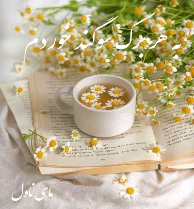 دانلود رمان به هر برگ سوگند خوردم از محیا نگهبان با لینک مستقیم دانلود رمان به هر برگ سوگند خوردم از محیا نگهبان با لینک مستقیم