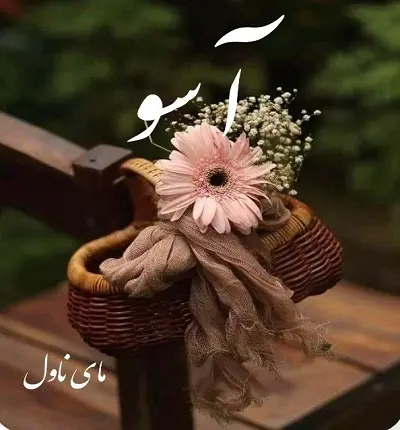 دانلود رمان آسو  از نسرین سیفی  با لینک مستقیم