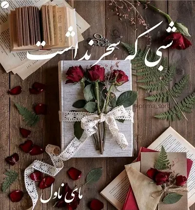 دانلود رمان شبی که سحر نداشت  از ارونقی کرمانی با لینک مستقیم