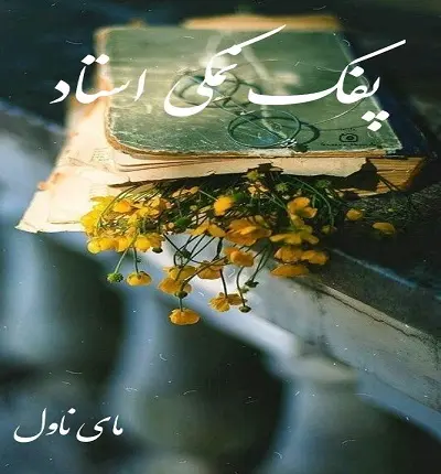 دانلود رمان پفک نمکی استاد  از فاطمه مهراد  با لینک مستقیم