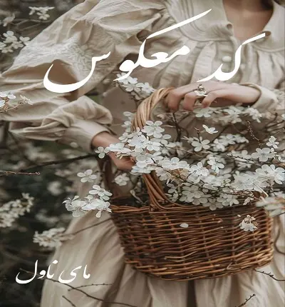 دانلود رمان کد معکوس  از دینا با لینک مستقیم