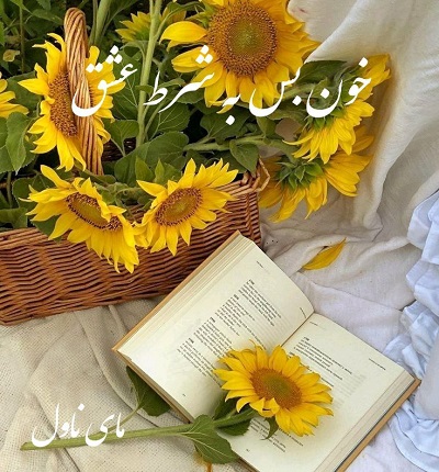 دانلود رمان خون بس به شرط عشق از سارین با لینک مستقیم دانلود رمان خون بس به شرط عشق از سارین با لینک مستقیم