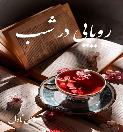 دانلود رمان رویایی در شب از مهین عبدی با لینک مستقیم دانلود رمان رویایی در شب از مهین عبدی با لینک مستقیم