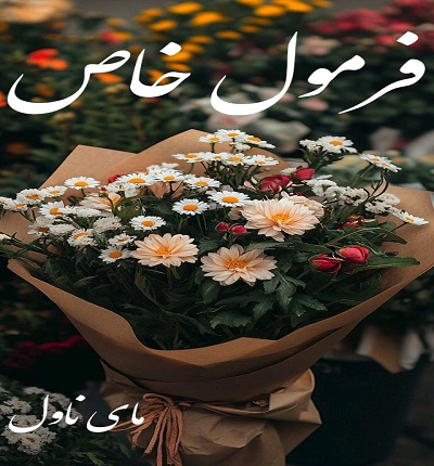 دانلود رمان فرمول خاص از ژیلا ح با لینک مستقیم دانلود رمان فرمول خاص از ژیلا ح با لینک مستقیم