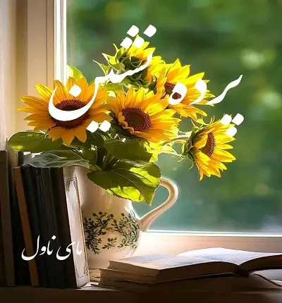 دانلود رمان پرده نشین  از سپیده فرهادی با لینک مستقیم