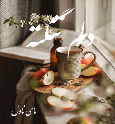 دانلود رمان دلم تنگته از ملودی با لینک مستقیم دانلود رمان دلم تنگته از ملودی با لینک مستقیم