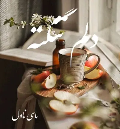 دانلود رمان دلم تنگته از ملودی با لینک مستقیم دانلود رمان دلم تنگته از ملودی با لینک مستقیم