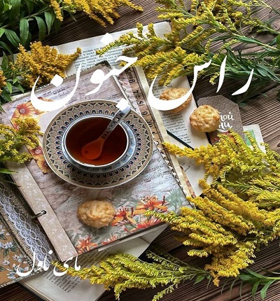 دانلود رمان راس جنون از نوا با لینک مستقیم دانلود رمان راس جنون از نوا با لینک مستقیم