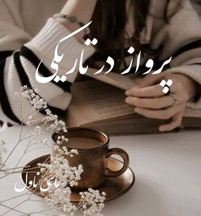 دانلود رمان پرواز در تاریکی از لیلا نوروزی با لینک مستقیم دانلود رمان پرواز در تاریکی از لیلا نوروزی با لینک مستقیم